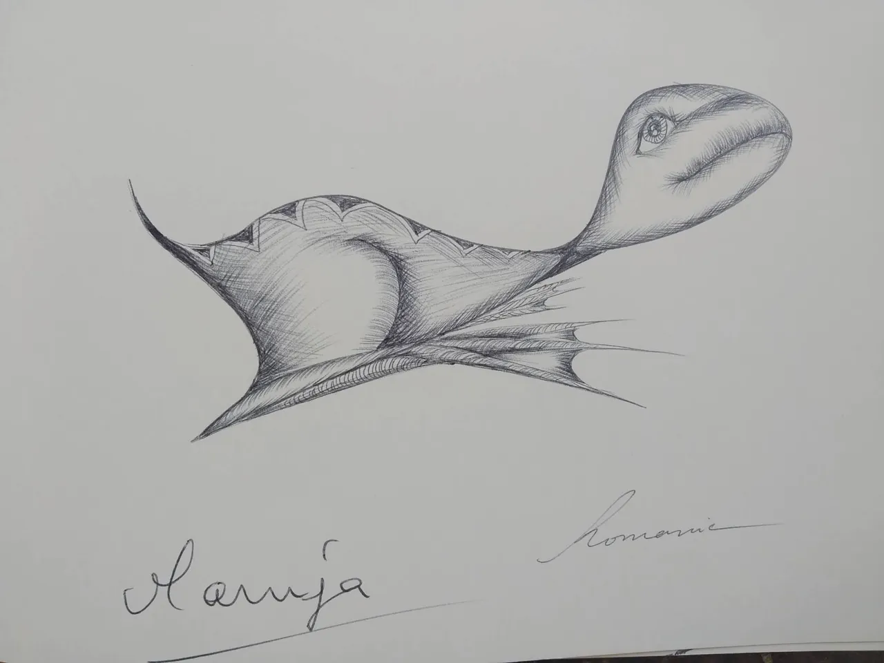 dibujo330B.jpg