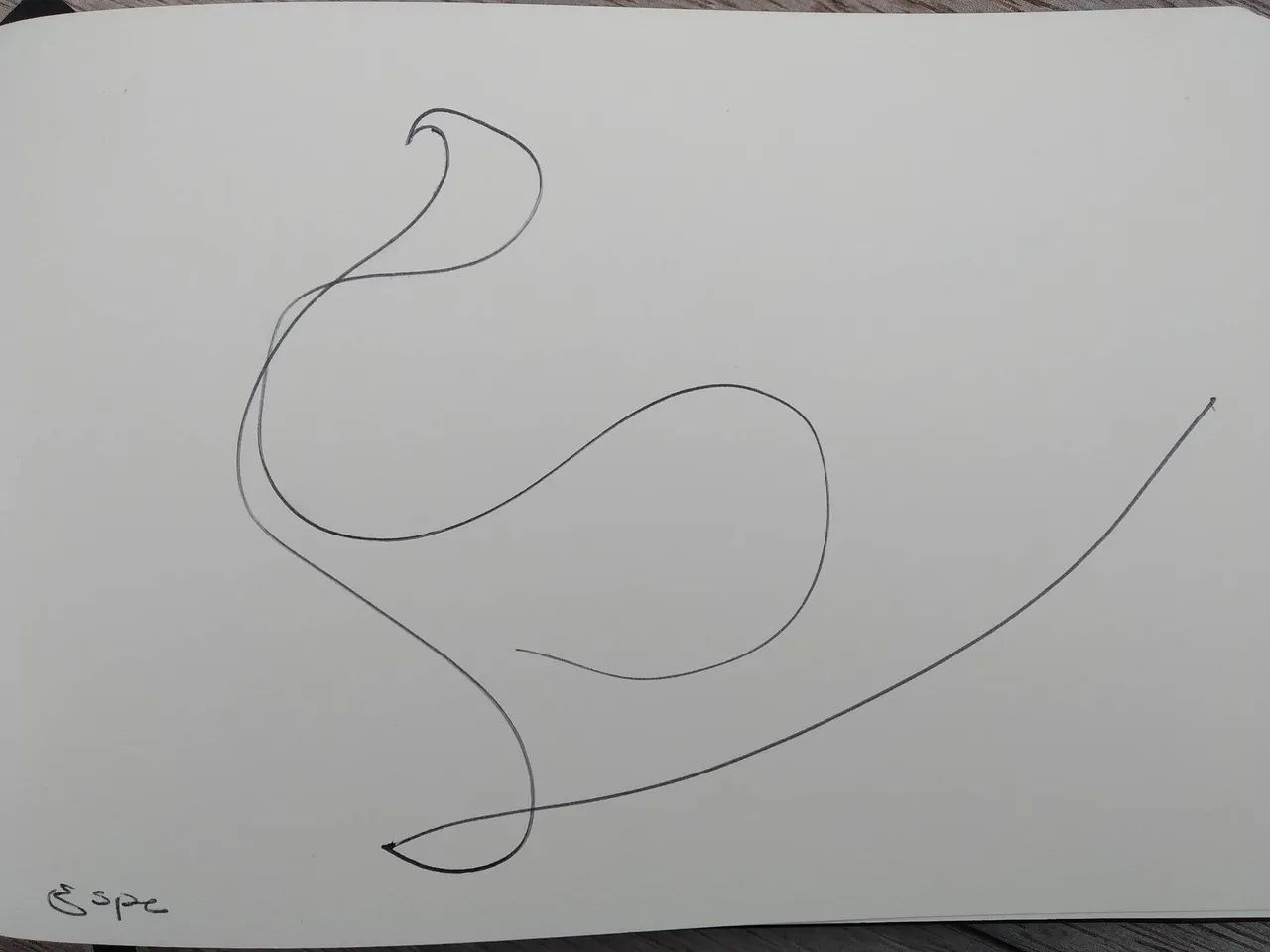 dibujo495A.jpg