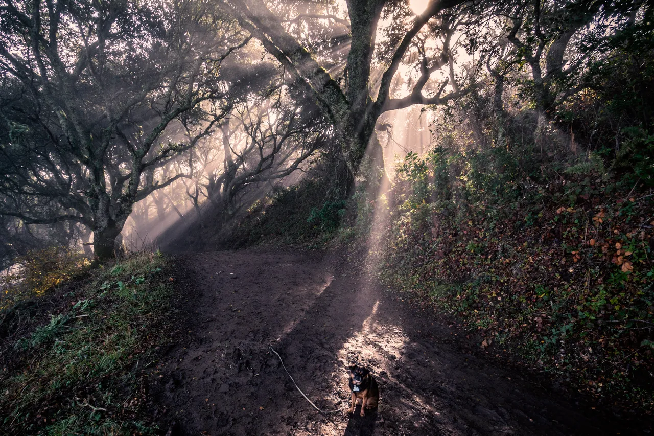 bayarea537.jpg