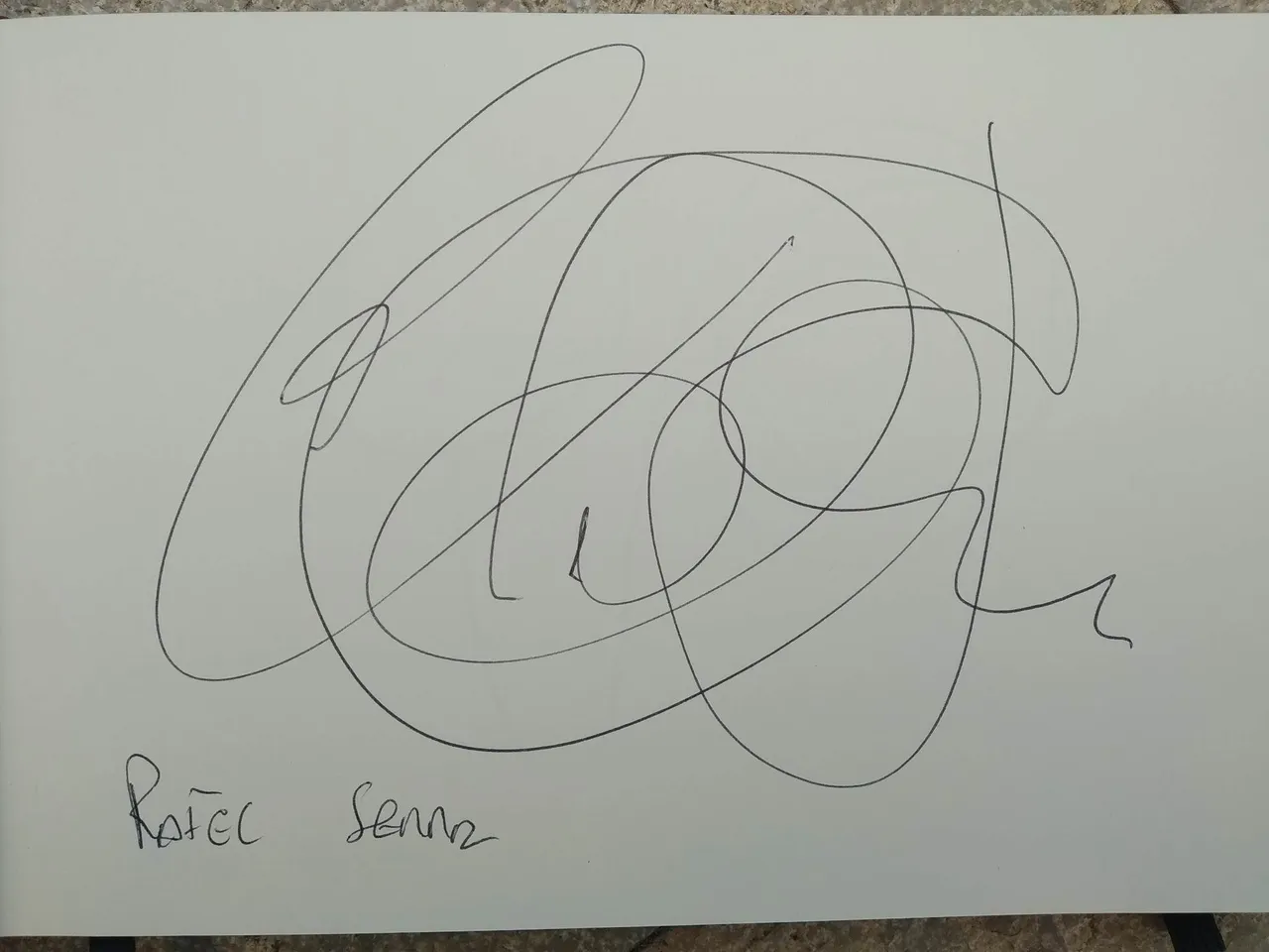 dibujo529A.jpg