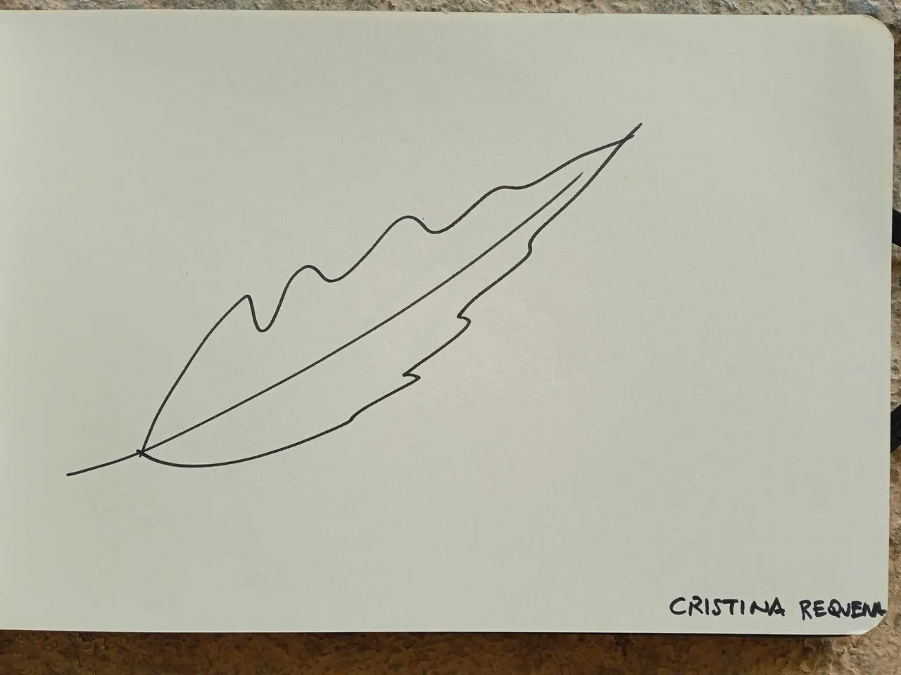 dibujo797A.jpg