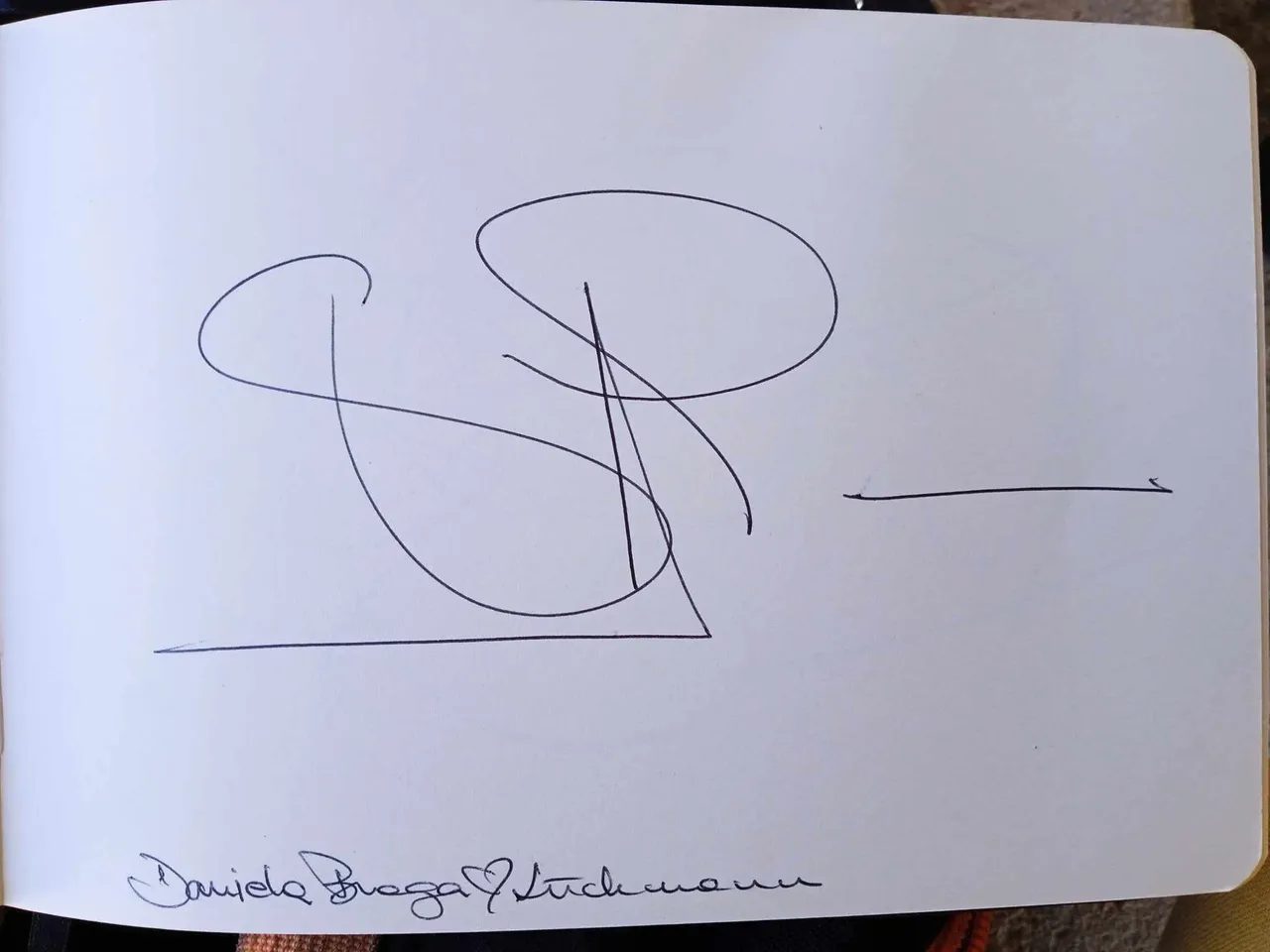 dibujo814A.jpg