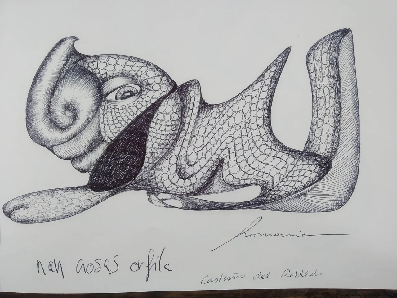 dibujo613B.jpg