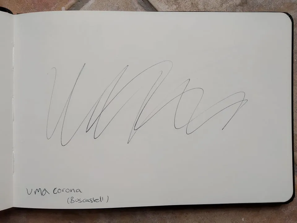 dibujo263A.jpg