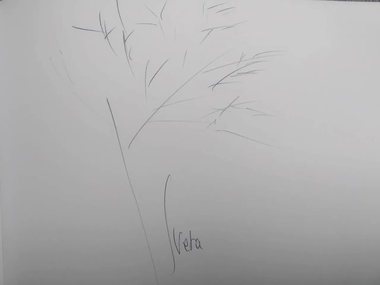 dibujo567A.jpg