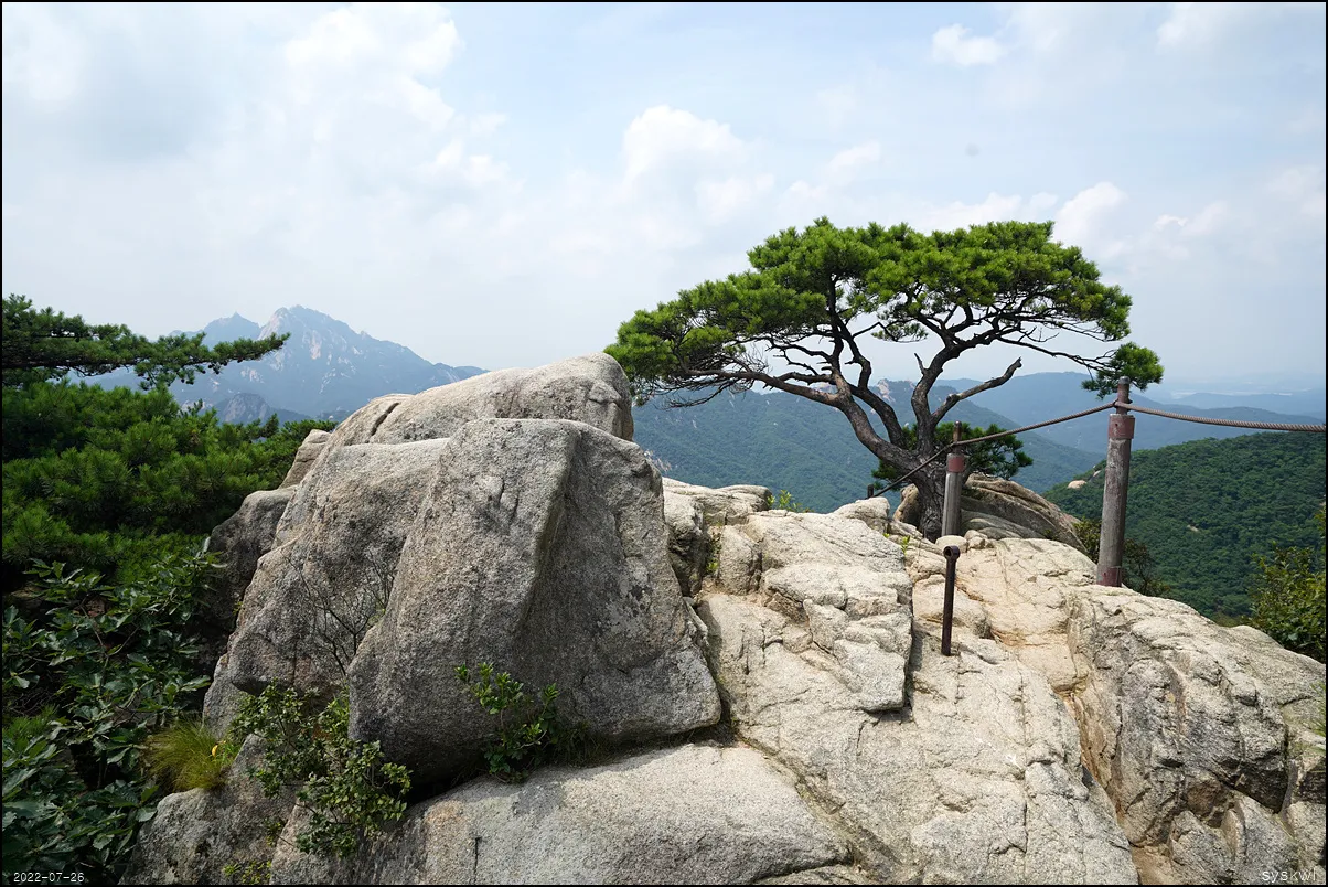 w-DSC08791.jpg
