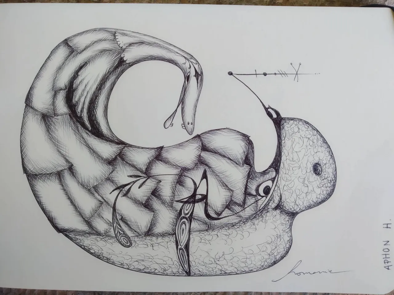 dibujo290B.jpg