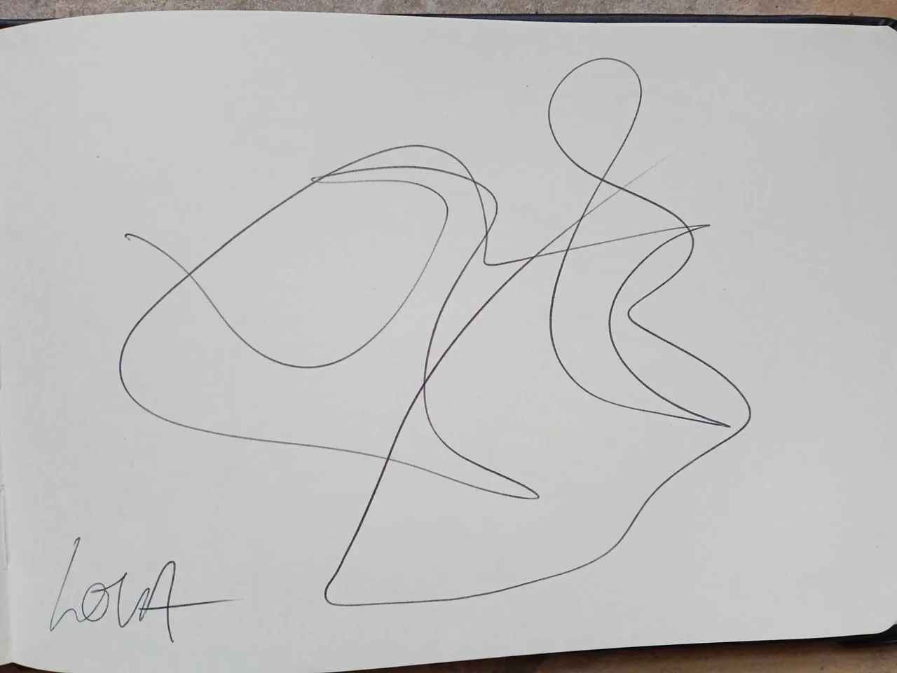 dibujo753A.jpg