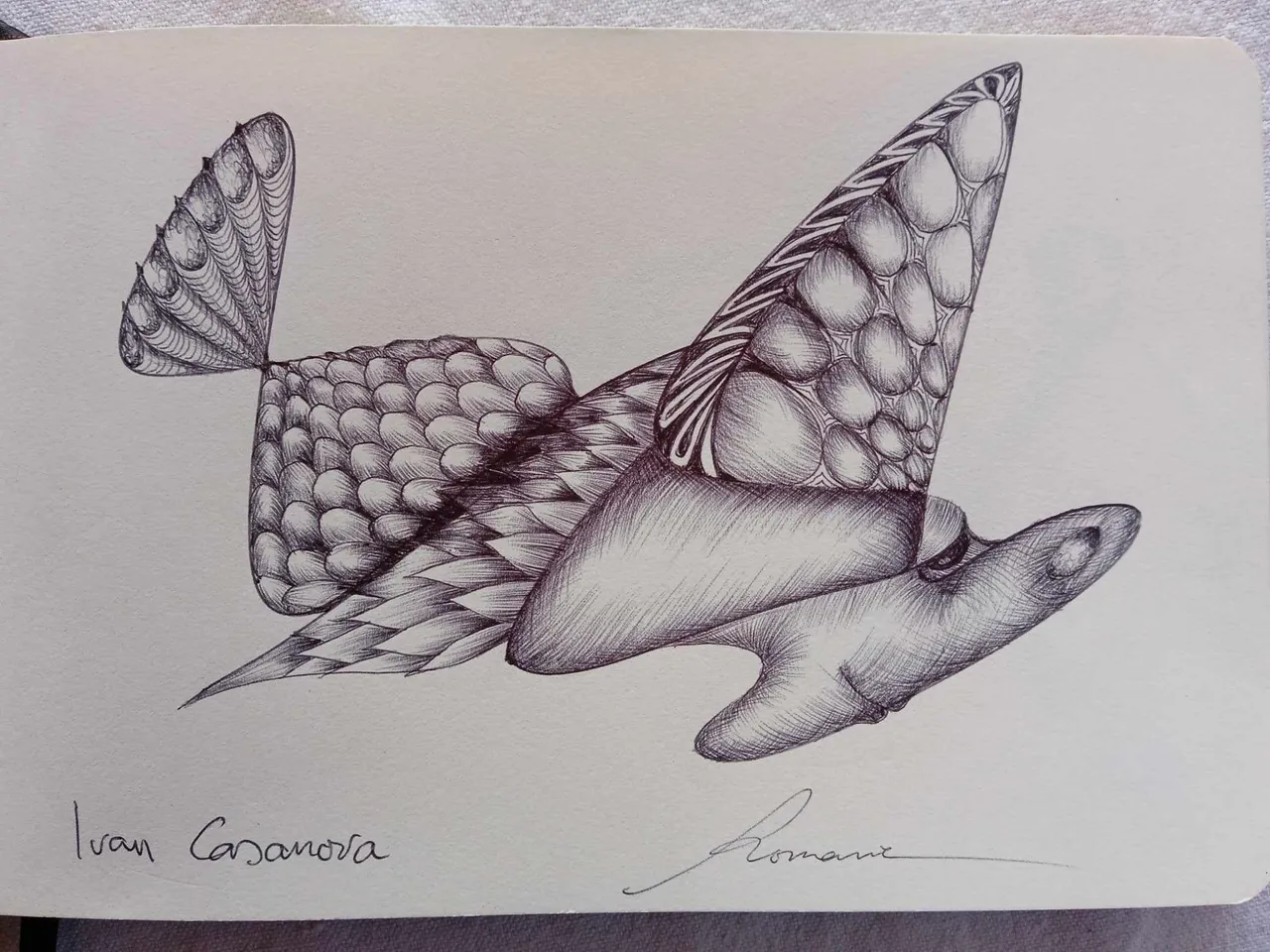 dibujo719B.jpg