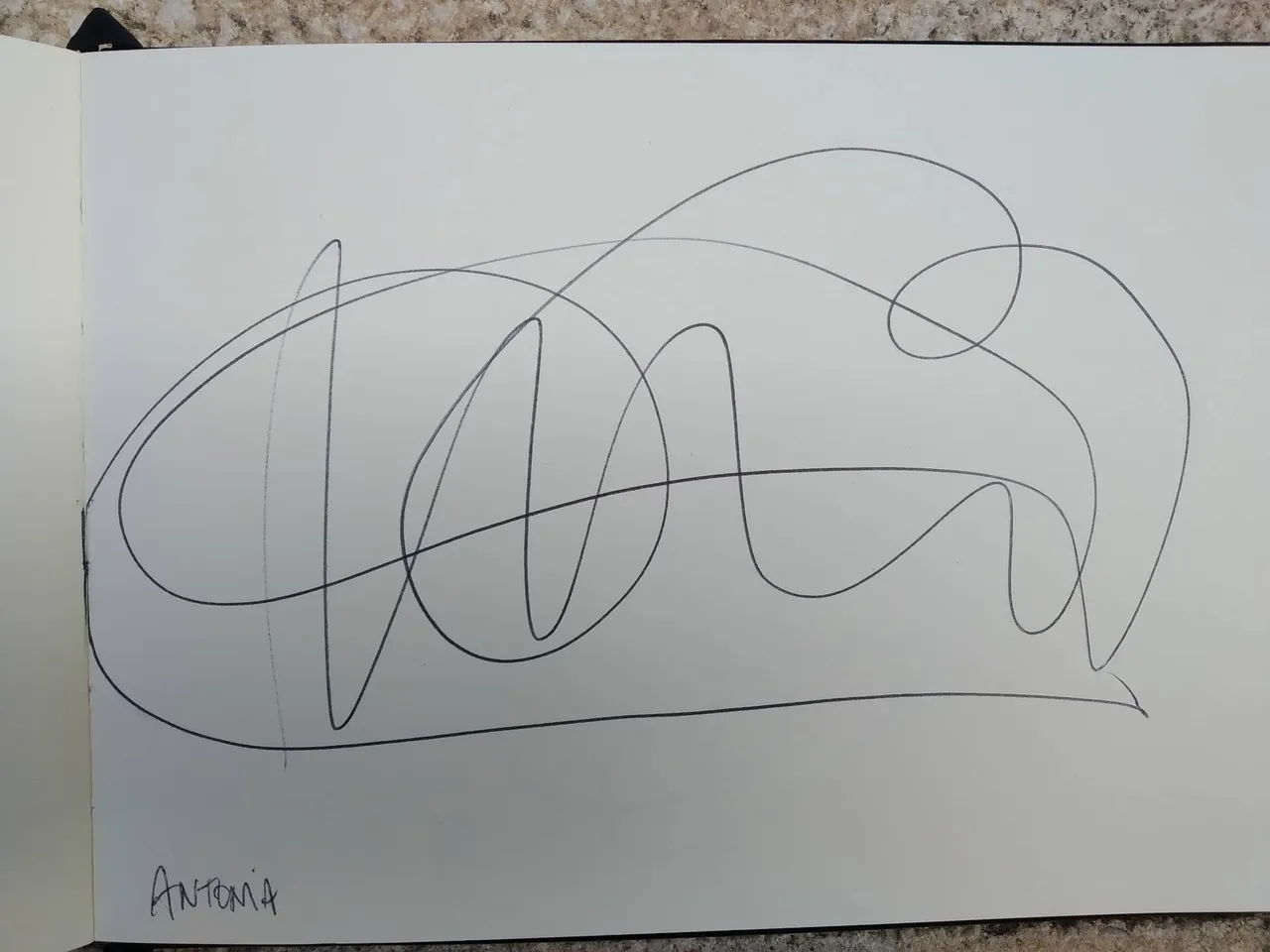 dibujo339A.jpg
