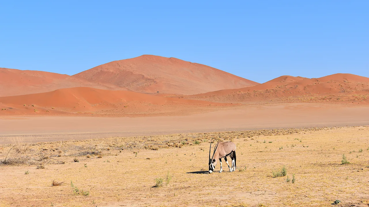 Namibie-05.jpg