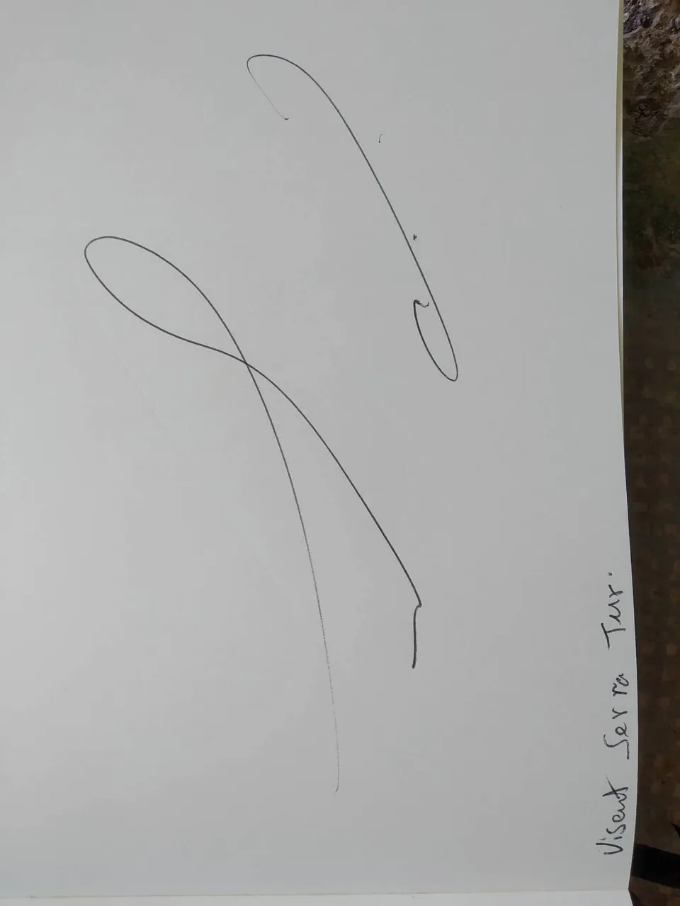dibujo363A.jpg