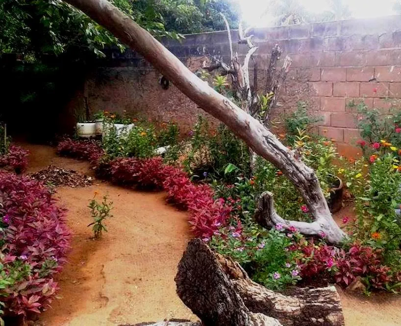 Jardin F.jpg