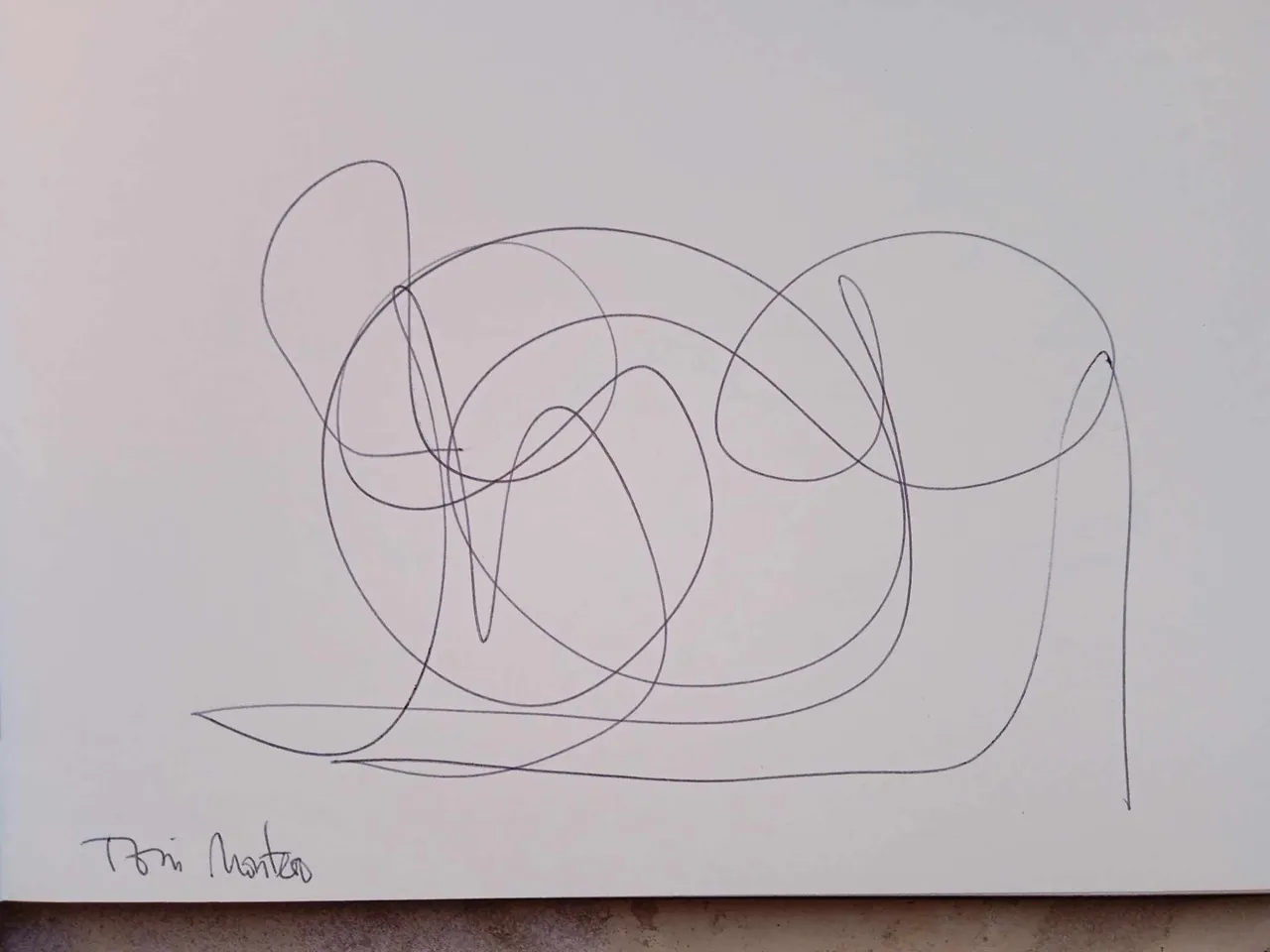 dibujo730A.jpg