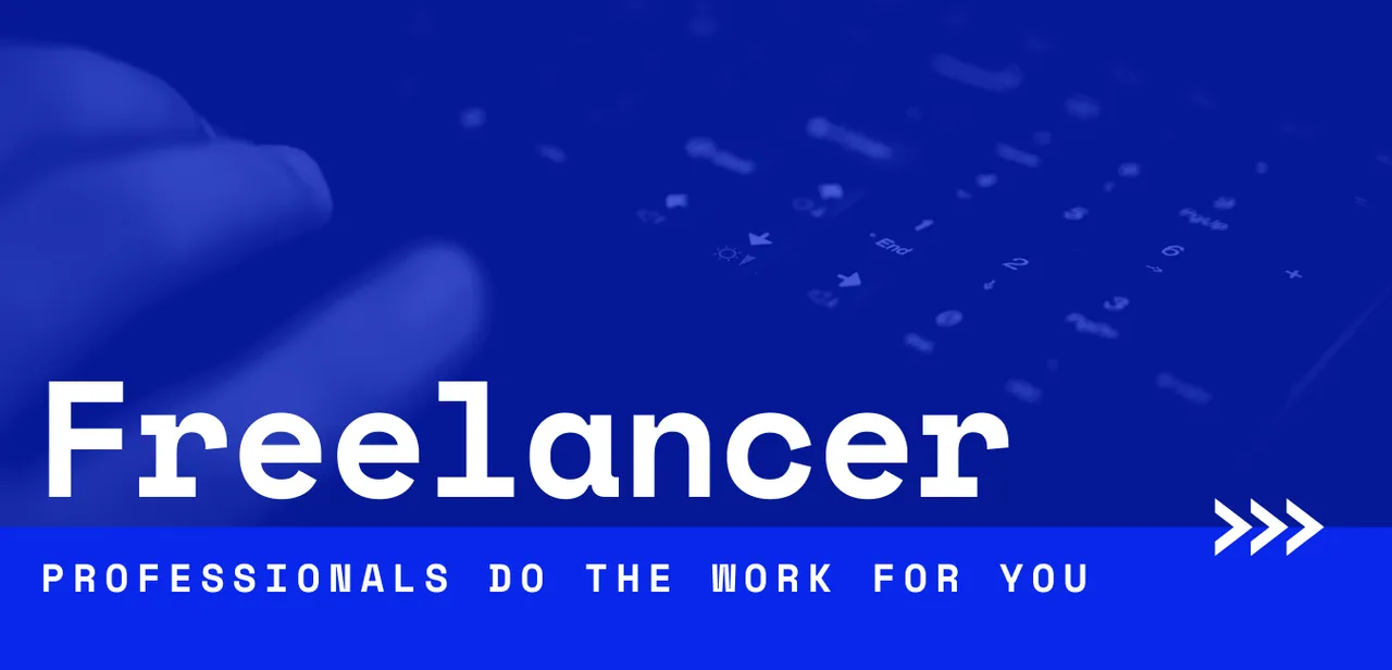 Freelancer.png