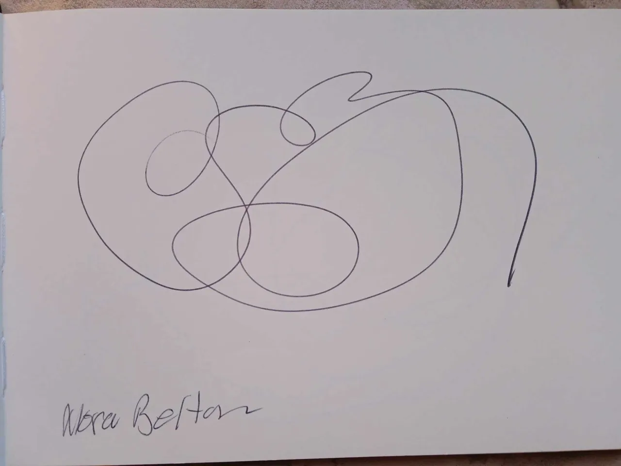 dibujo722A.jpg
