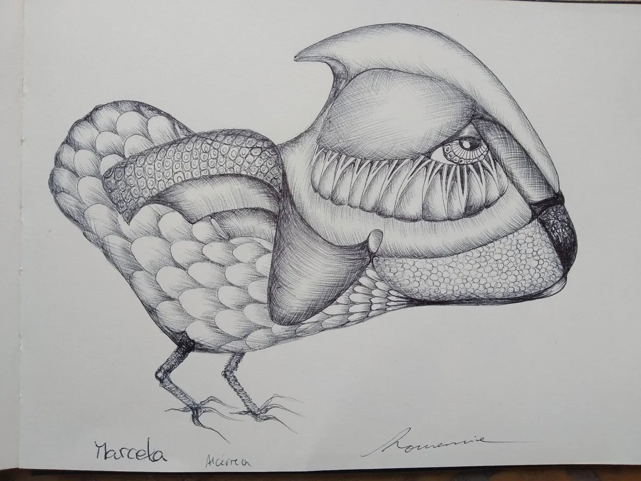 dibujo584B.jpg