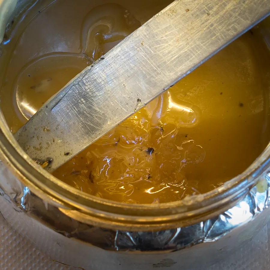 DSC06038-2.jpg