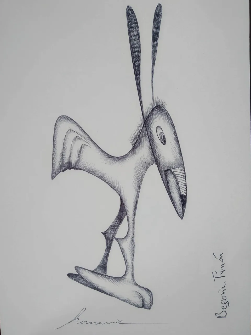 dibujo501B.jpg