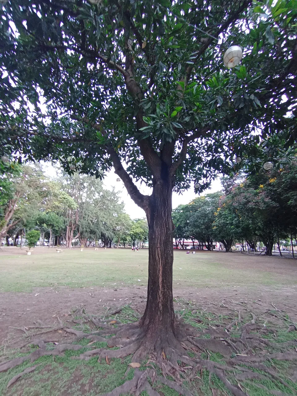 1000022470.jpg
