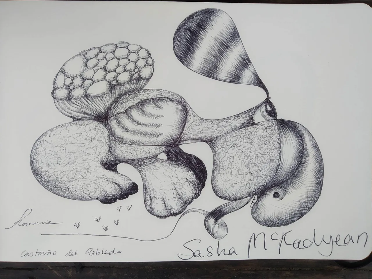 dibujo614B.jpg