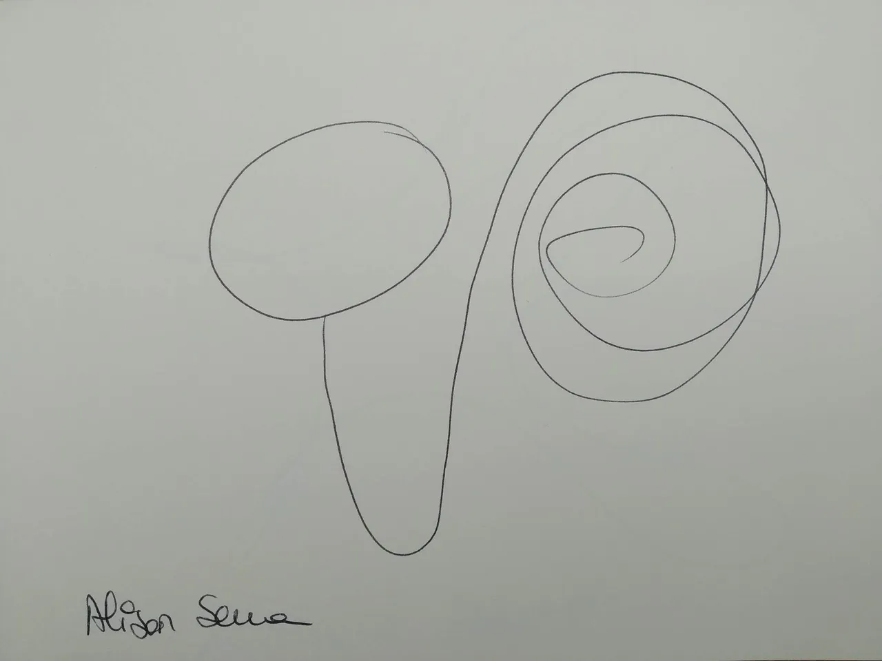 dibujo530A.jpg