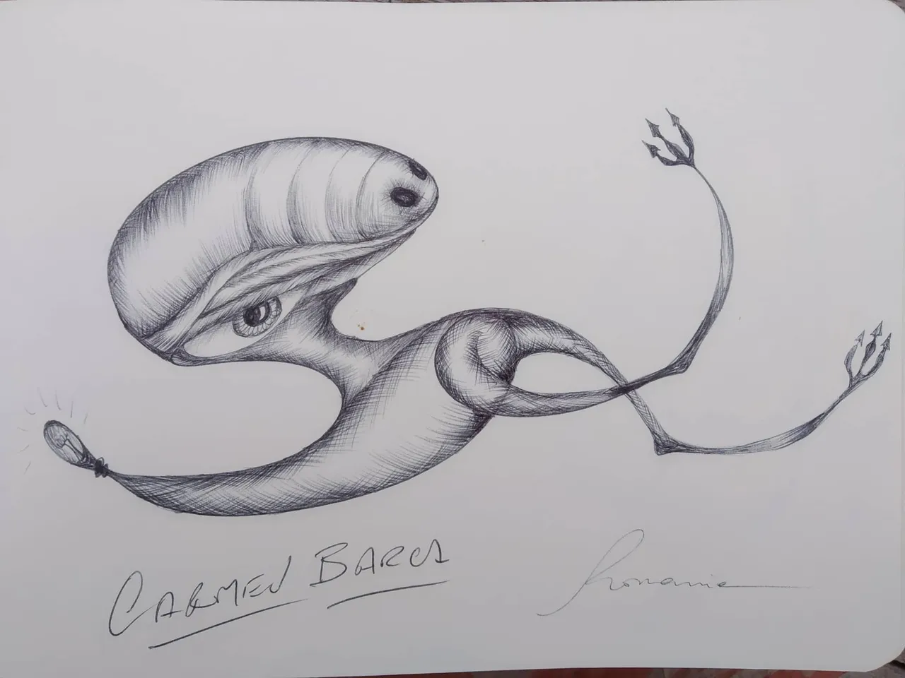 dibujo450B.jpg