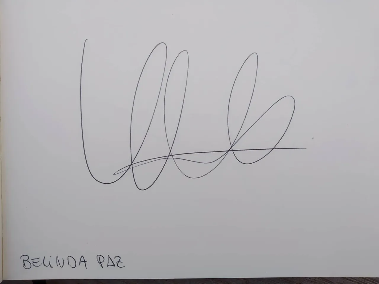 dibujo488A.jpg