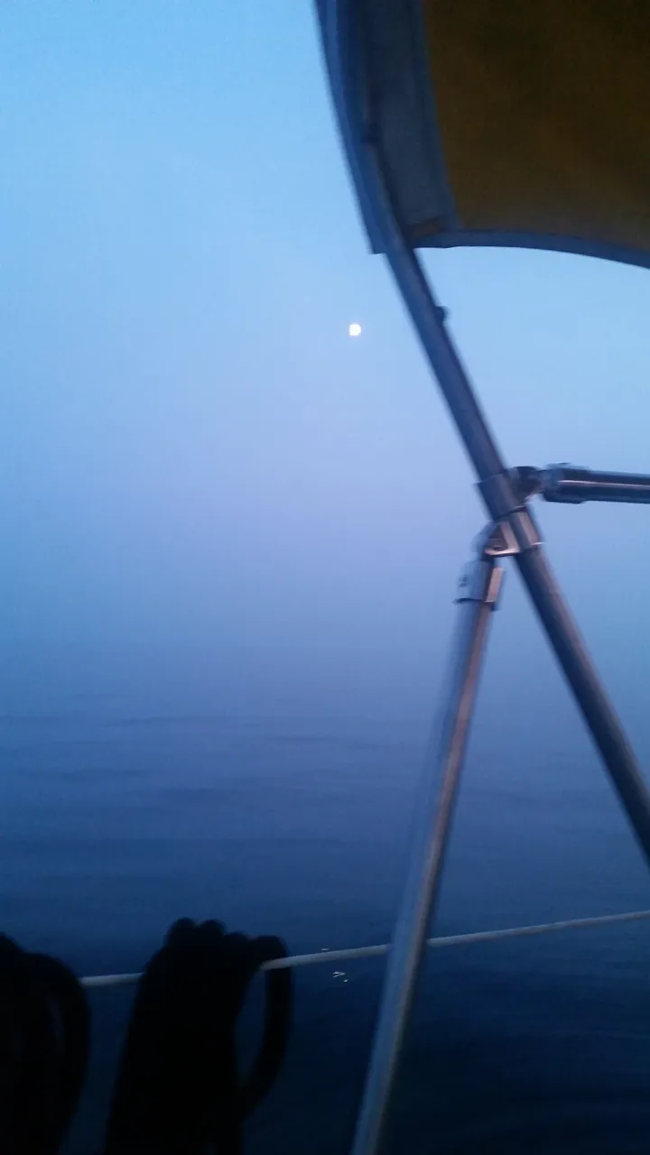 moon-night.jpg