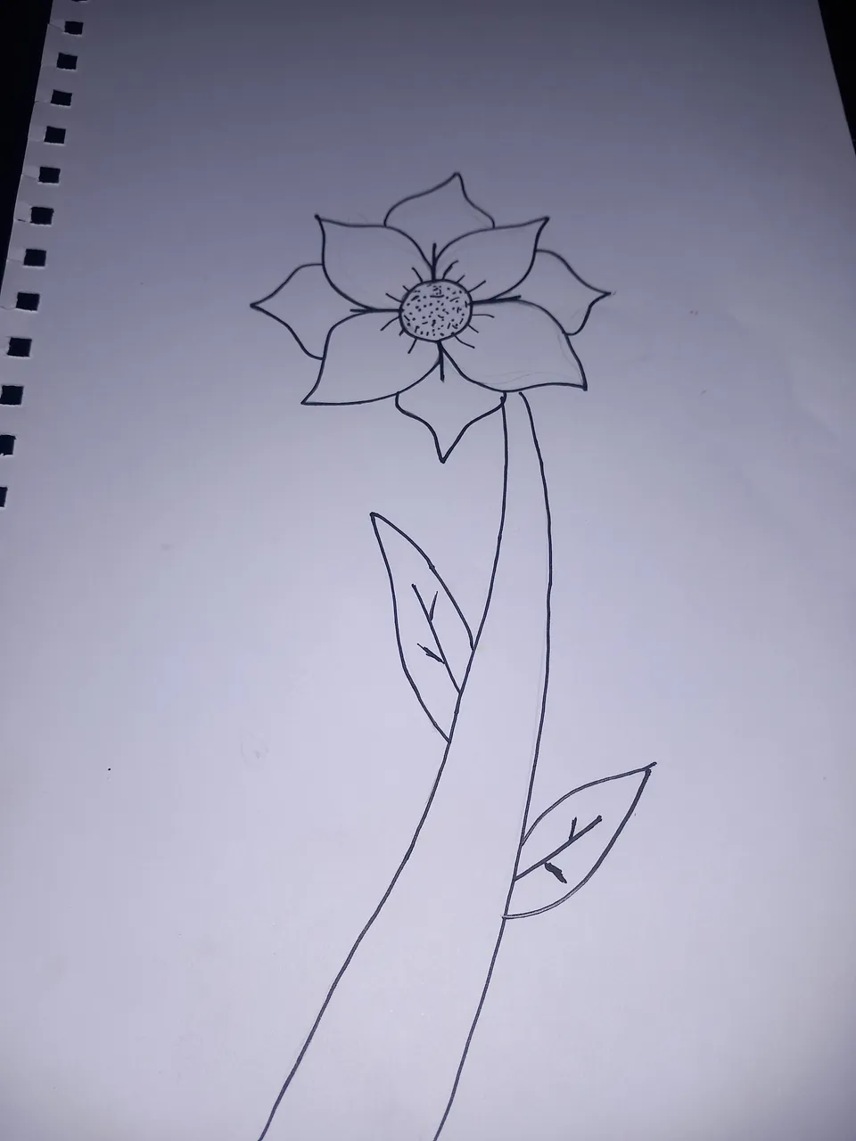 1000032755.jpg