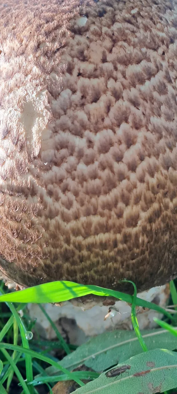 1000020451.jpg