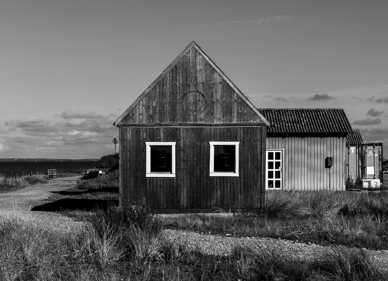 P1001431-1.jpg