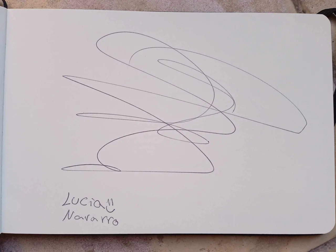 dibujo733A.jpg