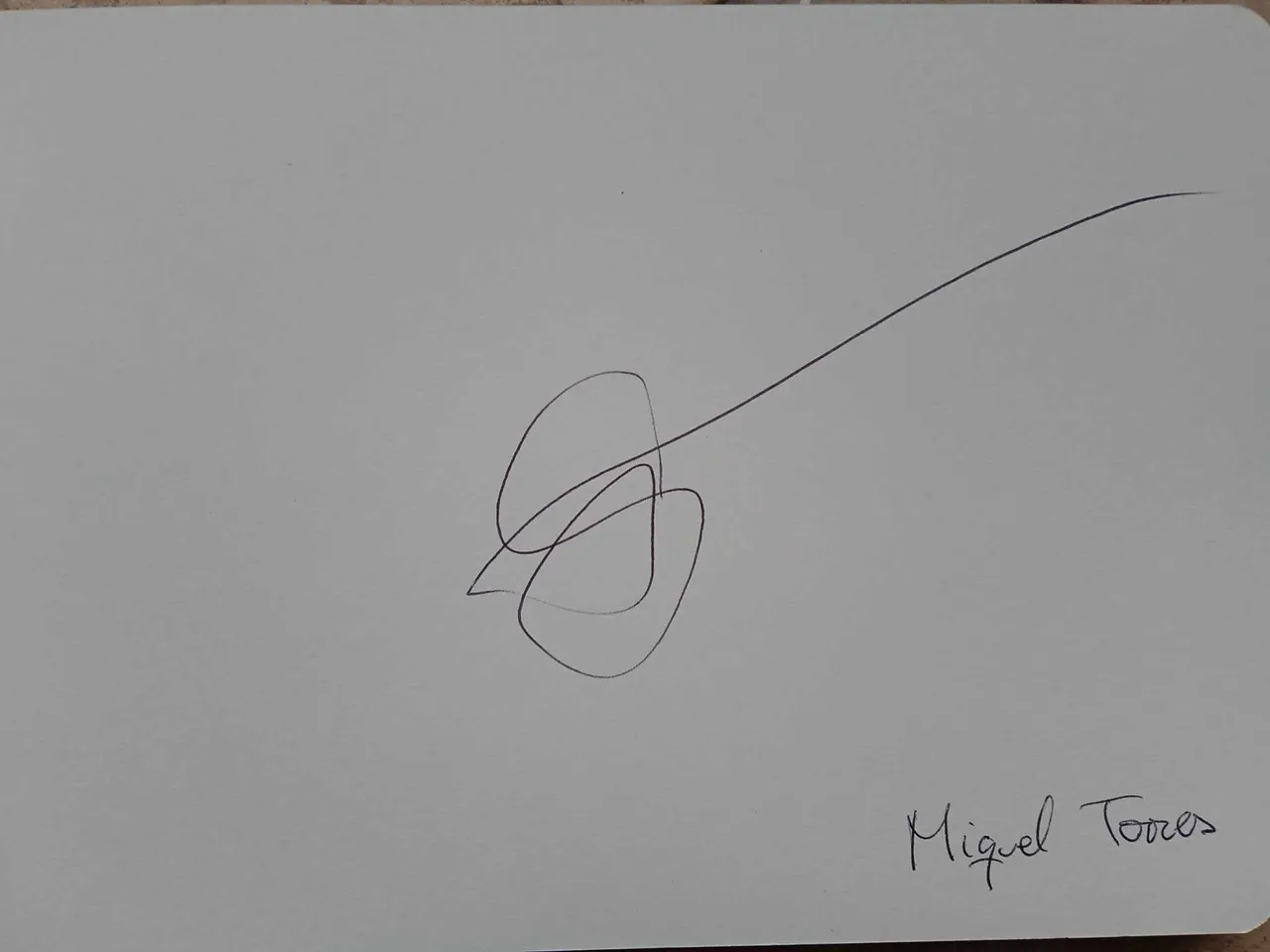 dibujo773A.jpg