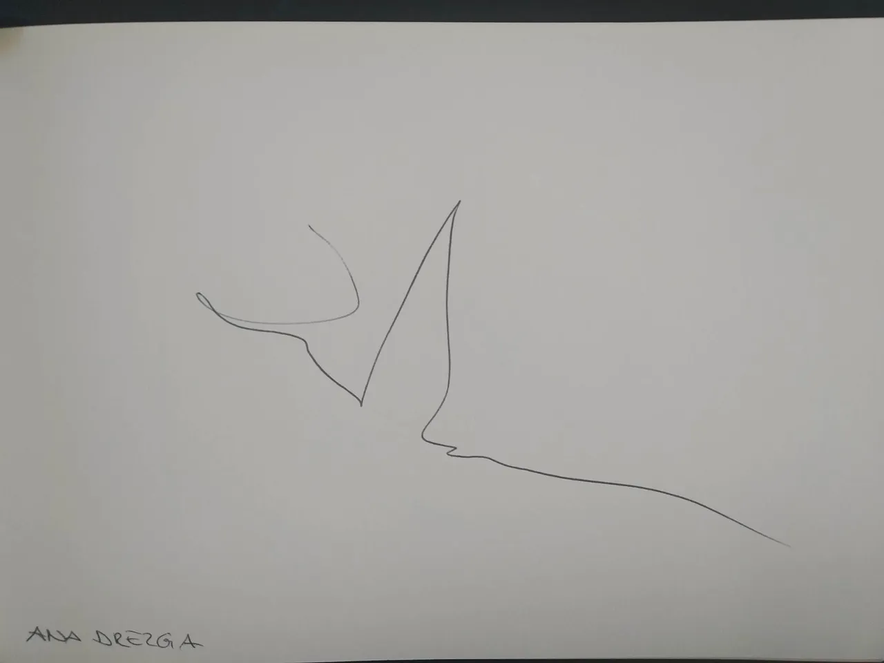 dibujo556A.jpg