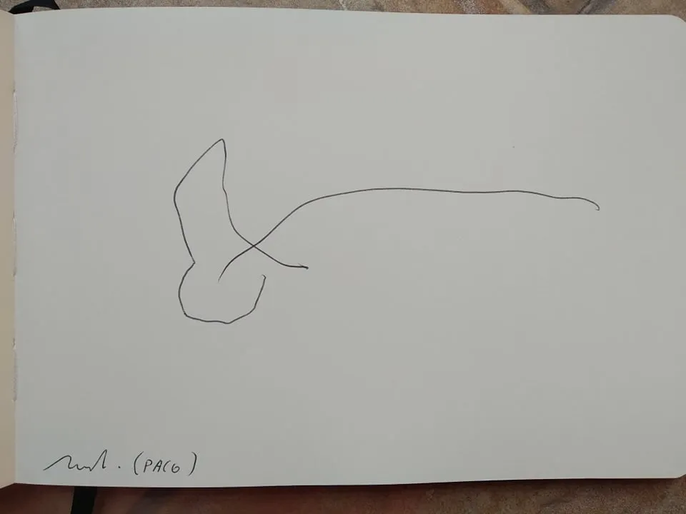dibujo247A.jpg