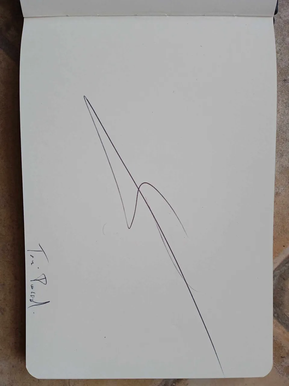 dibujo759A.jpg