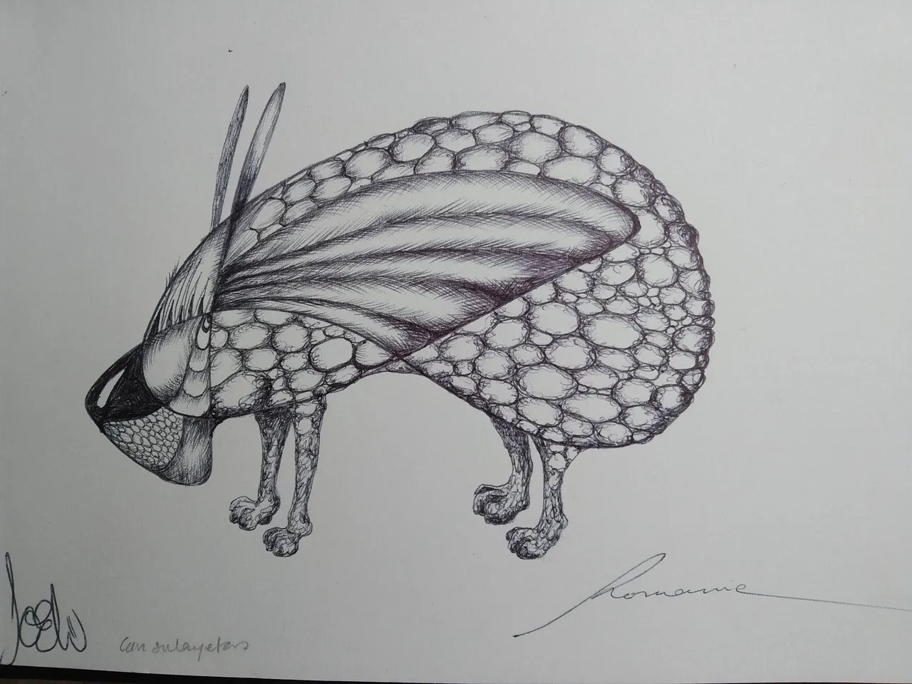 dibujo594B.jpg
