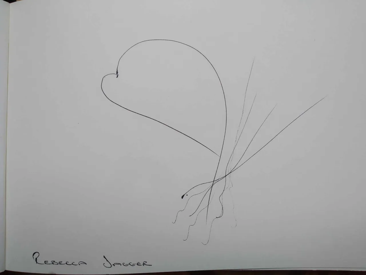 dibujo704A.jpg