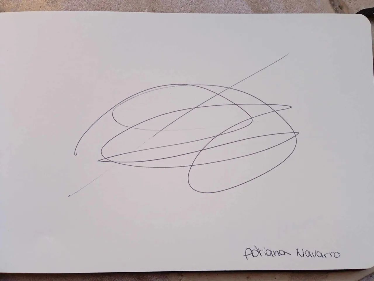 dibujo734A.jpg