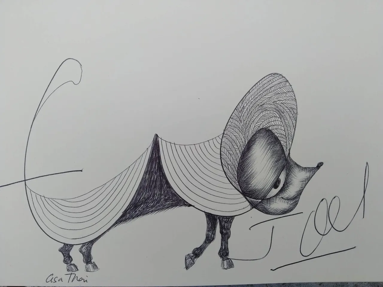 dibujo464B.jpg
