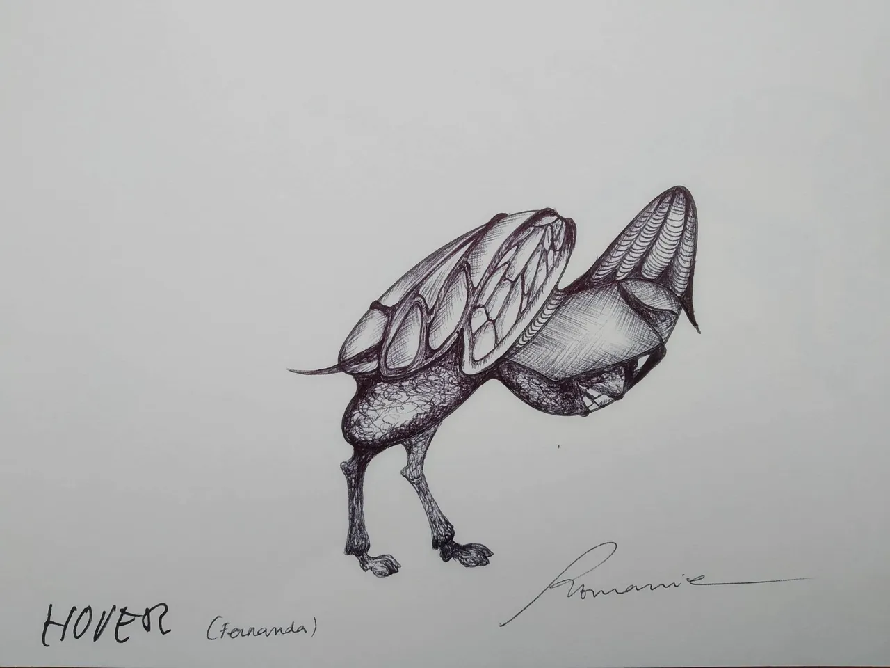 dibujo644B.jpg