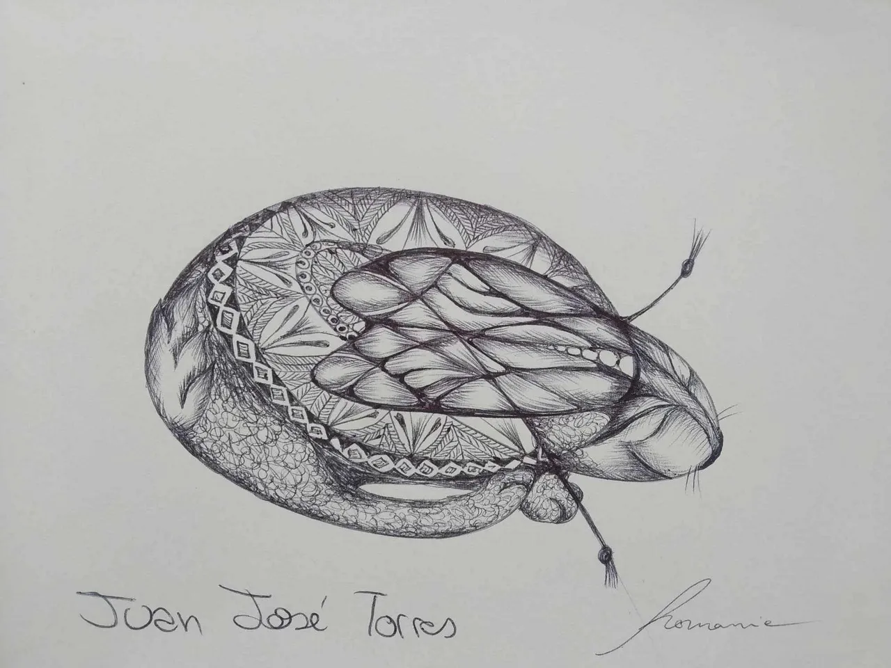 dibujo675B.jpg