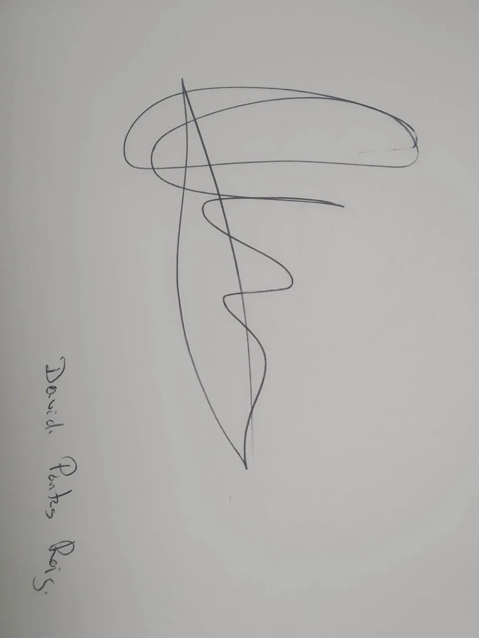 dibujo541A.jpg