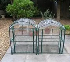 greenhouse.jpg