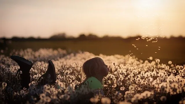 lionflower.jpg