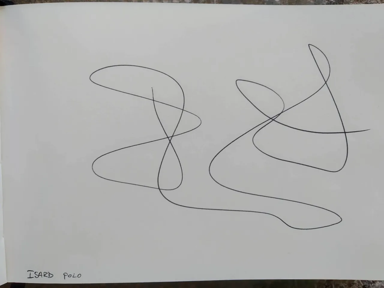 dibujo370A.jpg