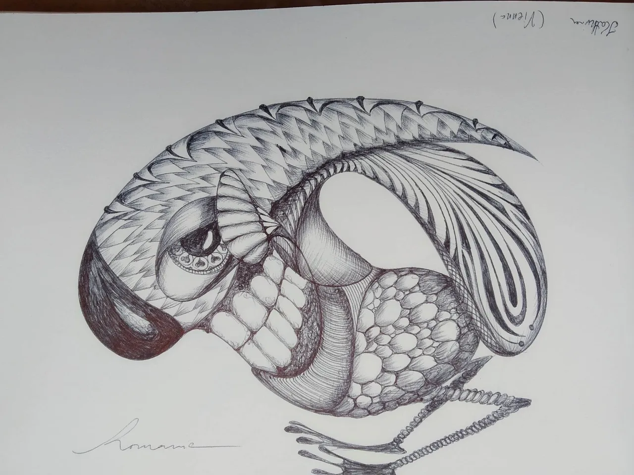 dibujo558B.jpg