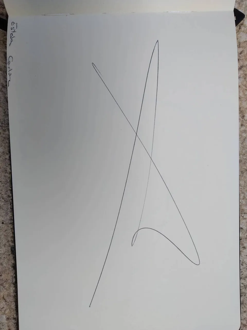 dibujo336A.jpg