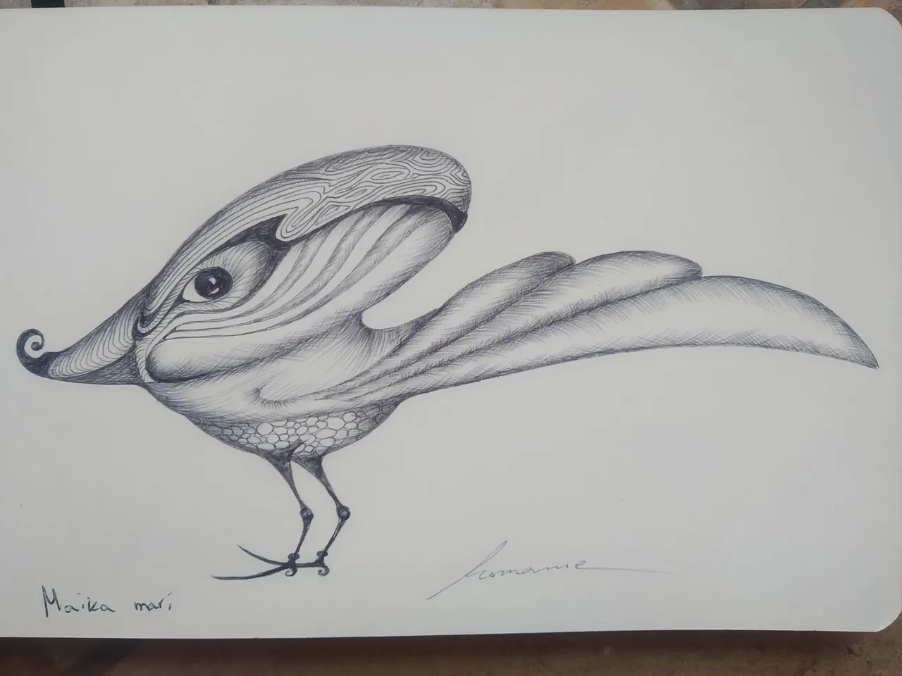 dibujo538B.jpg